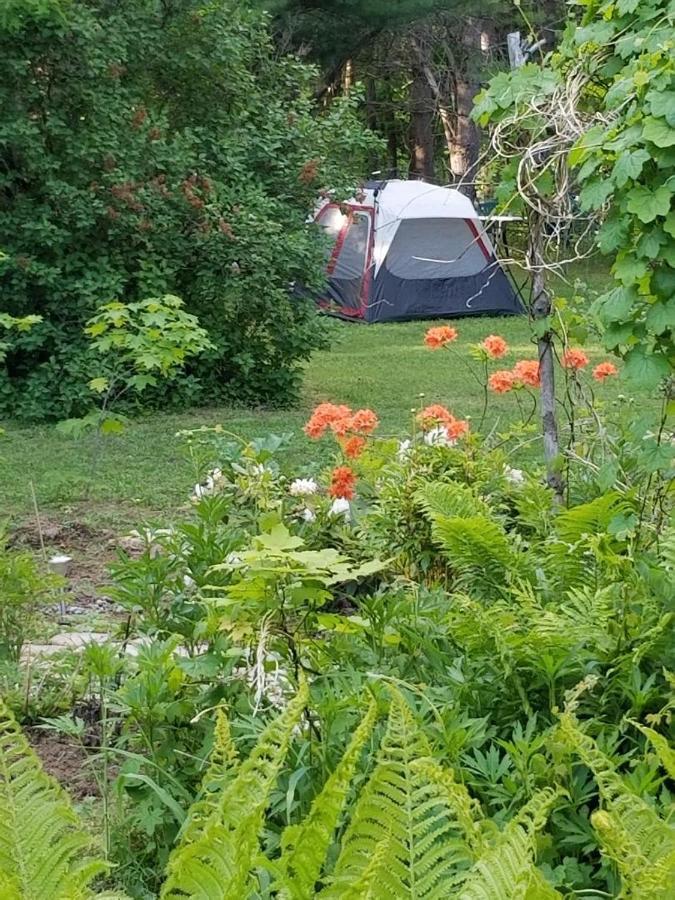 Ethel Maud Place Otel Severn Dış mekan fotoğraf