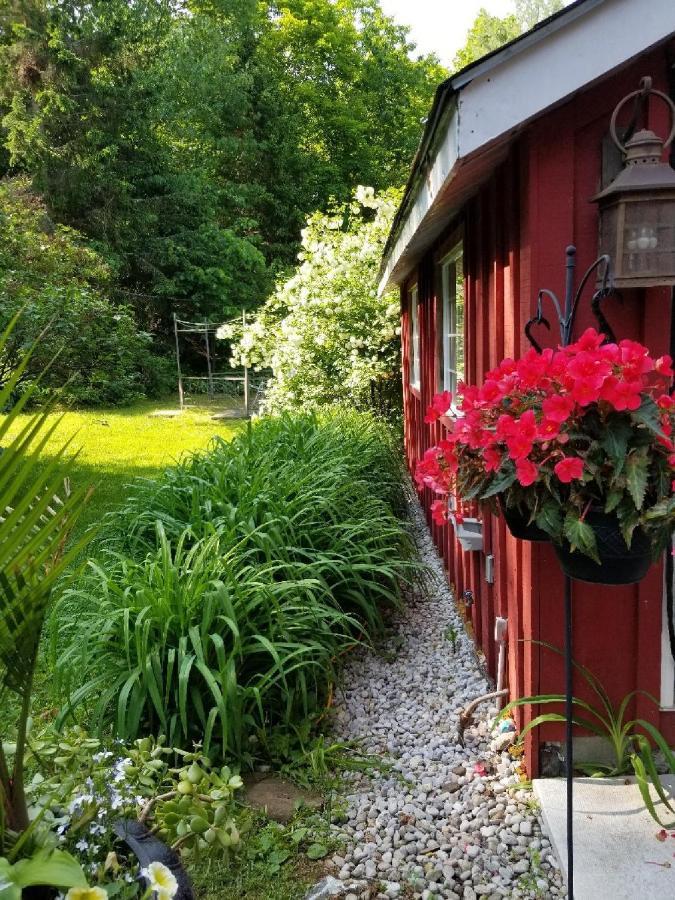 Ethel Maud Place Otel Severn Dış mekan fotoğraf