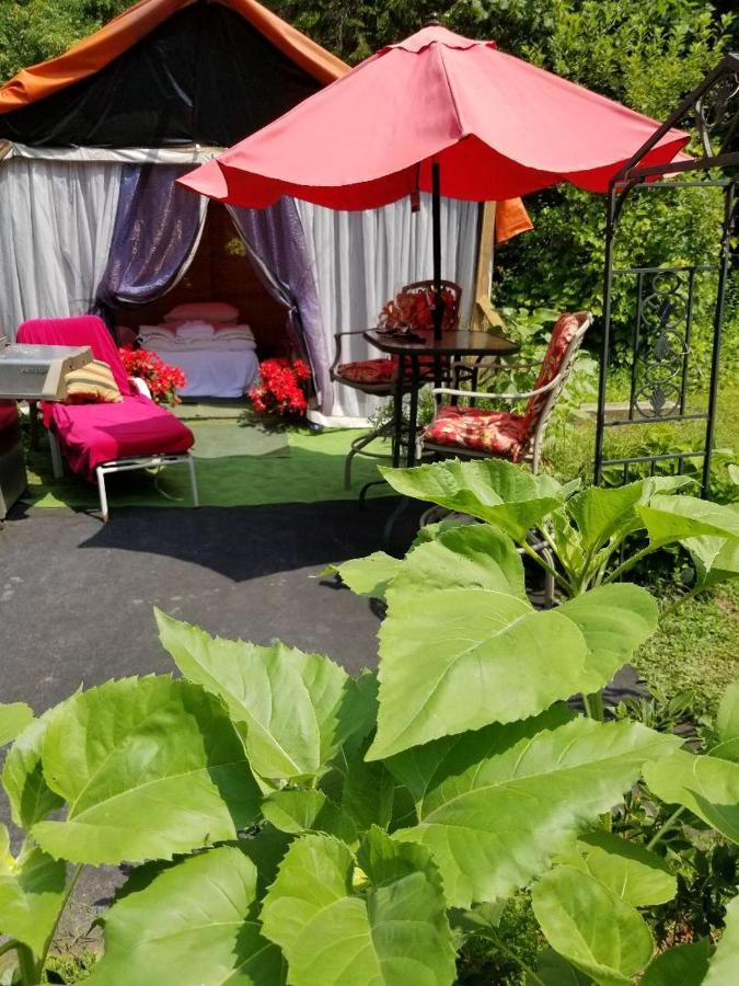 Ethel Maud Place Otel Severn Dış mekan fotoğraf
